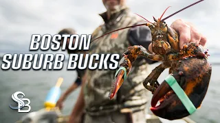 Whitetail Bucks in Boston? Northeastern Deer Hunting Tips | Deer Hunting Boston Suburb | Sea Bucks