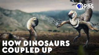 How Dinosaurs Coupled Up