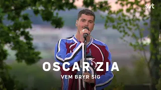 Oscar Zia - Vem bryr sig | Allsång på Skansen 2023 | SVT