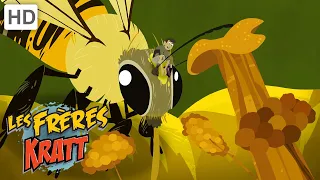 Les Frères Kratt |Vol Des Pollinisateurs| Saison 1