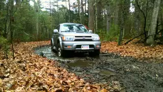 2002 Toyota 4Runner SR5 Sport Edition