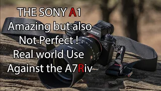 Sony A1 Amazing but also not perfect, here are my real world thoughts