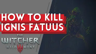 The Witcher 3 | How to kill an Ignis Fatuus [Max difficulty]