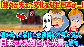 「日本のコピー能力はどうなってるんだ…」日本のテーマパークでオランダ人が絶句w【ゆっくり解説】【海外の反応】