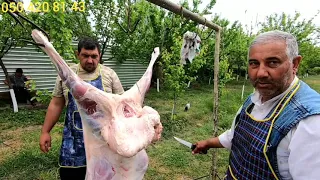 29 04 21 1ci h.Tahir qardaş, Allah qurbanınızı qəbul etsin🐏🐏🤲🤲