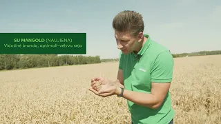 #7 Derliaus nuėmimas, grūdų kokybė ir kainos