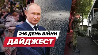Дайджест 216 дня війни: Успіхи ЗСУ  "Мобіків" рф не годують  Протести в росії