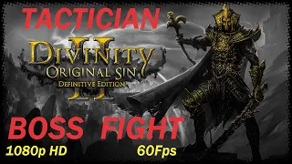 Divinity: Original Sin 2 Definitive Edition - Void Salamander(S) Fight - Tactician Difficulty