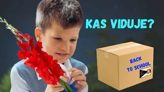 RUGSĖJO 1-oji ir KAS MYSTERY BOX viduje Back to school CHALLENGE? Komentarai