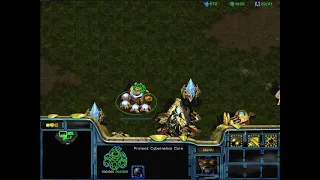 StarCraft: Brood War - 1 Protoss vs 7 Zerg (vs 7 computers ) Map: Big Game Hunters