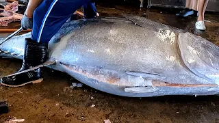 Unparalleled Superb Cutting Skill for 415kg Super-Giant Bluefin Tuna