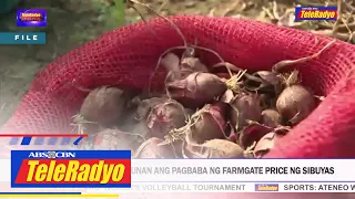 Mga magsasaka sa DA: Tugunan ang pagbaba ng farmgate price ng sibuyas | TeleRadyo Balita