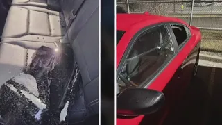 Dozens of car stolen, vandalized outside Ford Chicago Assembly Plant
