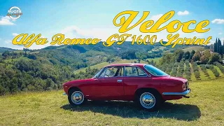 Alfa Romeo Giulia GT Sprint Veloce  (1966)