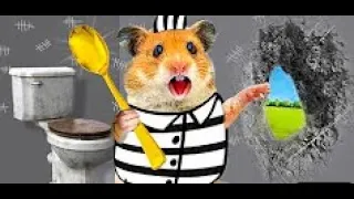 Hamster Escaping MAXIMUM SECURITY PRISON Using Only A SPOON! Cartoon by Life Of Pets Hamham