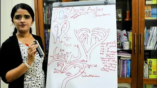 DEVELOPMENT OF THE AORTIC ARCHES(with MCQ's)-DR ROSE JOSE MD