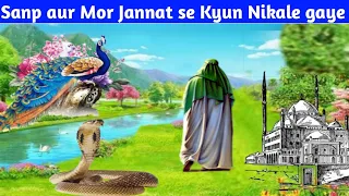 सांप और मोर को जन्नत से क्यू नीकाला गया | Sanp Aur More Ko Jannat Se Kyu Nikala Gaya Part 1