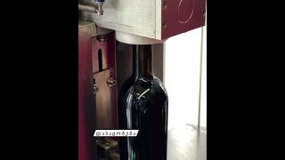 GeoNaturals, Guramishvili's marani, Process of Bottling our Shavkapito Wine