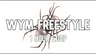 Doja Cat - WYM Freestyle [1 Hour Loop]