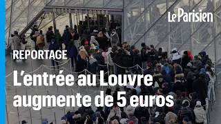 « Hors de prix » : la hausse du billet du Louvre prend les touristes par surprise