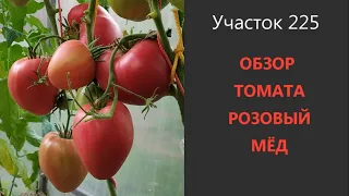 Томат Розовый мёд. Для любителей мясистых помидоров!