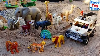 Playmobil Wildlife Safari Toy Sets For Kids - Fun Build and Play