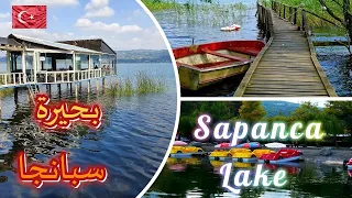 Sapanca Lake Boat Trip | Paddling |سبانجا مدينة ساحرة تستحق الزيارة | رحلة في  بحيرة سبانجا بالقارب