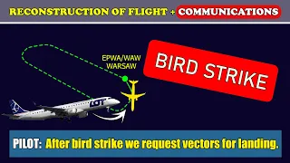 BIRD STRIKE on departure and return | LOT Polish Airlines ERJ-190 | Warsaw airport