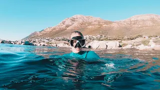 Snorkelling In Cape Town's Underwater Forests | False Bay