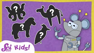 Can You Guess the Animal? | SciShow Kids Compilation