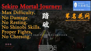 Sekiro Mortal Journey: No Damage. No Resting. No Shinobi Skills. Proper Fights. Max Difficulty.