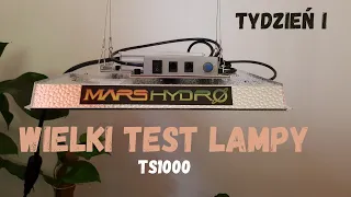 Wielki test lampy TS1000 tydzień I