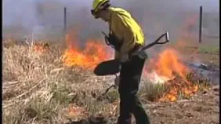 Prescribed Burning To Prevent Spread of Forest Fires