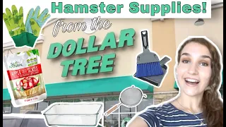 Hamster Supplies You Can Find at the Dollar Store! // Owning a Hamster on a Budget!