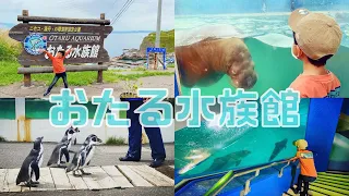 【水族館】見どころ満載！ネズミイルカにも会える「おたる水族館」の５つのショーが可愛すぎた！