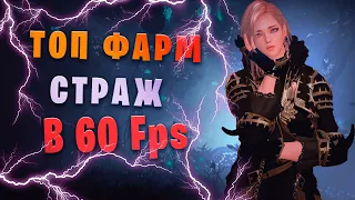 Мои настройки графики, и влияние FPS на фарме у класса страж в  Black Desert Online