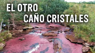 EL otro CAÑO CRISTALES: San José del GUAVIARE Colombia, una AVENTURA increíble.