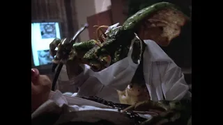 TOP 10! Gremlins FROM gremlins 2: A new batch!