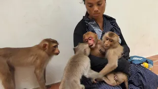 Sovanna Member (Dawn Nicole Roy Nico Baloo) Welcome  2 New abandoned Monkeys that Release in Wild