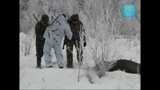 охота на лося загоном от www.huntcenter.ru (moose hunting)