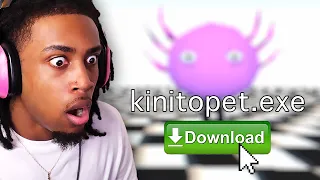 DO NOT DOWNLOAD kinitopet.exe