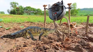 Awesome Creative Man Catches Crocodile Using Car stop _ Crocodile Trap