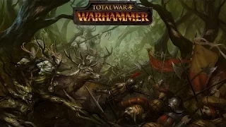 Анонсовый трейлер «Королевство лесных эльфов» для Total War: Warhammer!