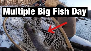 So many GIANT Trout in this Crystal Clear West Virginia River! (West Virginia Trout Fishing)
