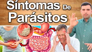 Síntomas Que Indican Que Tienes Bichos - Cómo Saber Si Tienes Parásitos En El Cuerpo