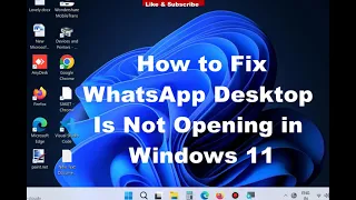 WhatsApp Desktop is not opening in Windows 11 and Windows 10 Fixed