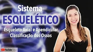 Sistema Esquelético 2/5: Esqueleto Axial e Apendicular. Classificação dos Ossos