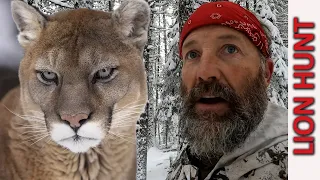 Hunting Mountain Lions with Recurve Bow