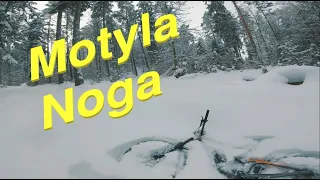 BFW Motyla Noga w śniegu || BigFoot Works || TPK Gdańsk