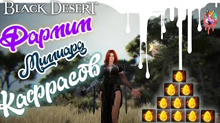 Самое время заняться сбором. Фарм кафрасов. Black Desert Online